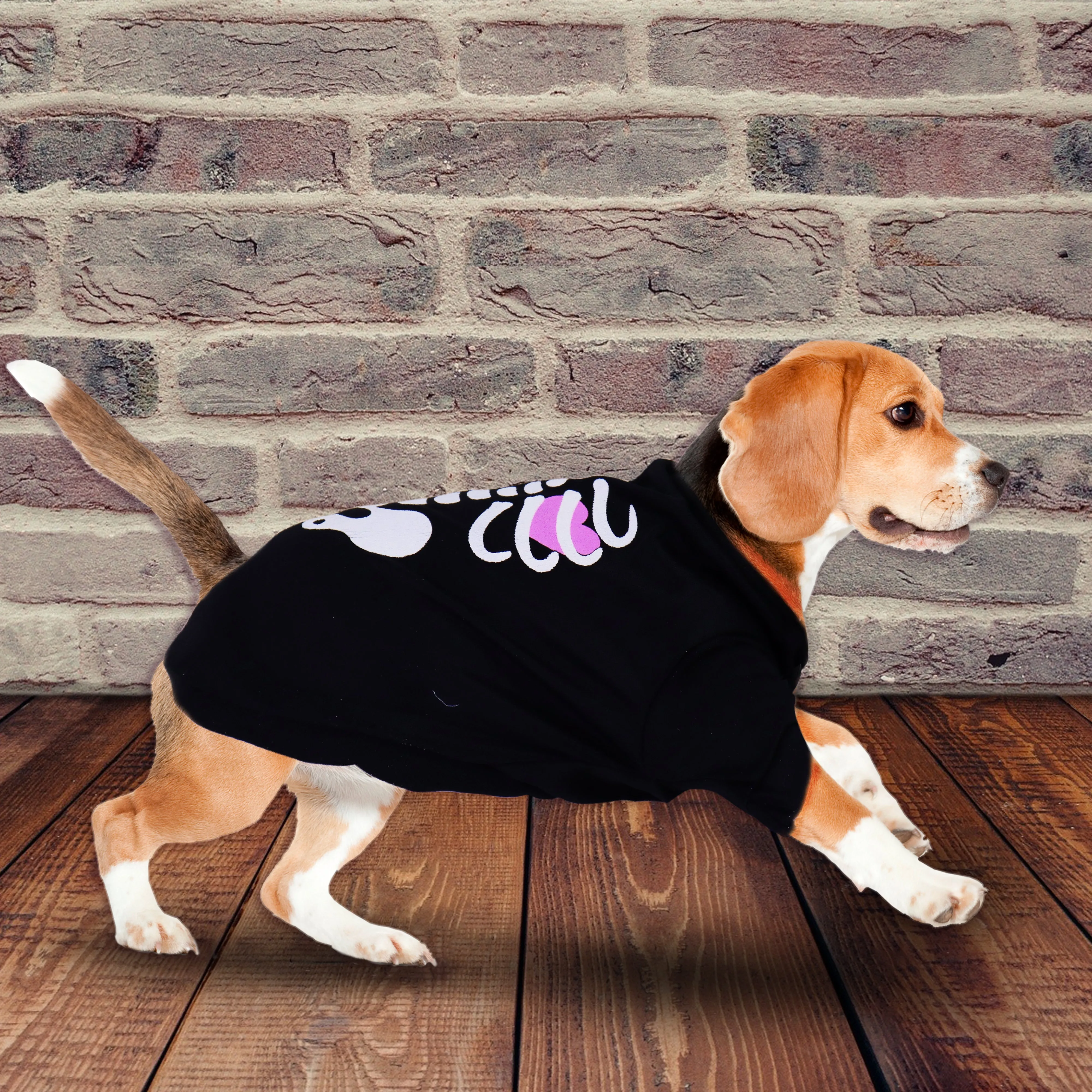Disfraz para Mascota con Diseo de Esqueleto
