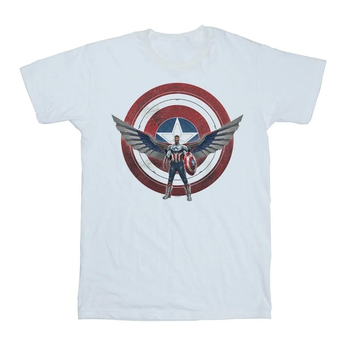 Falcon And The Winter Soldier Captain America Shield Pose
