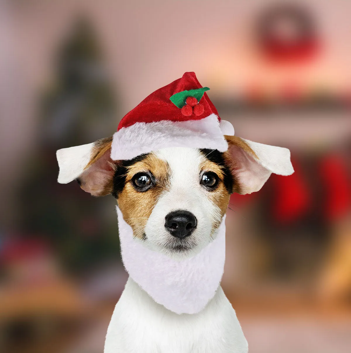 Gorrito Navideo para Mascota
