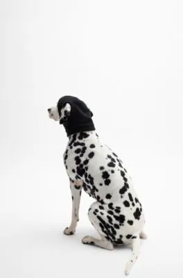 Gorro de punto para perro con monograma Double B