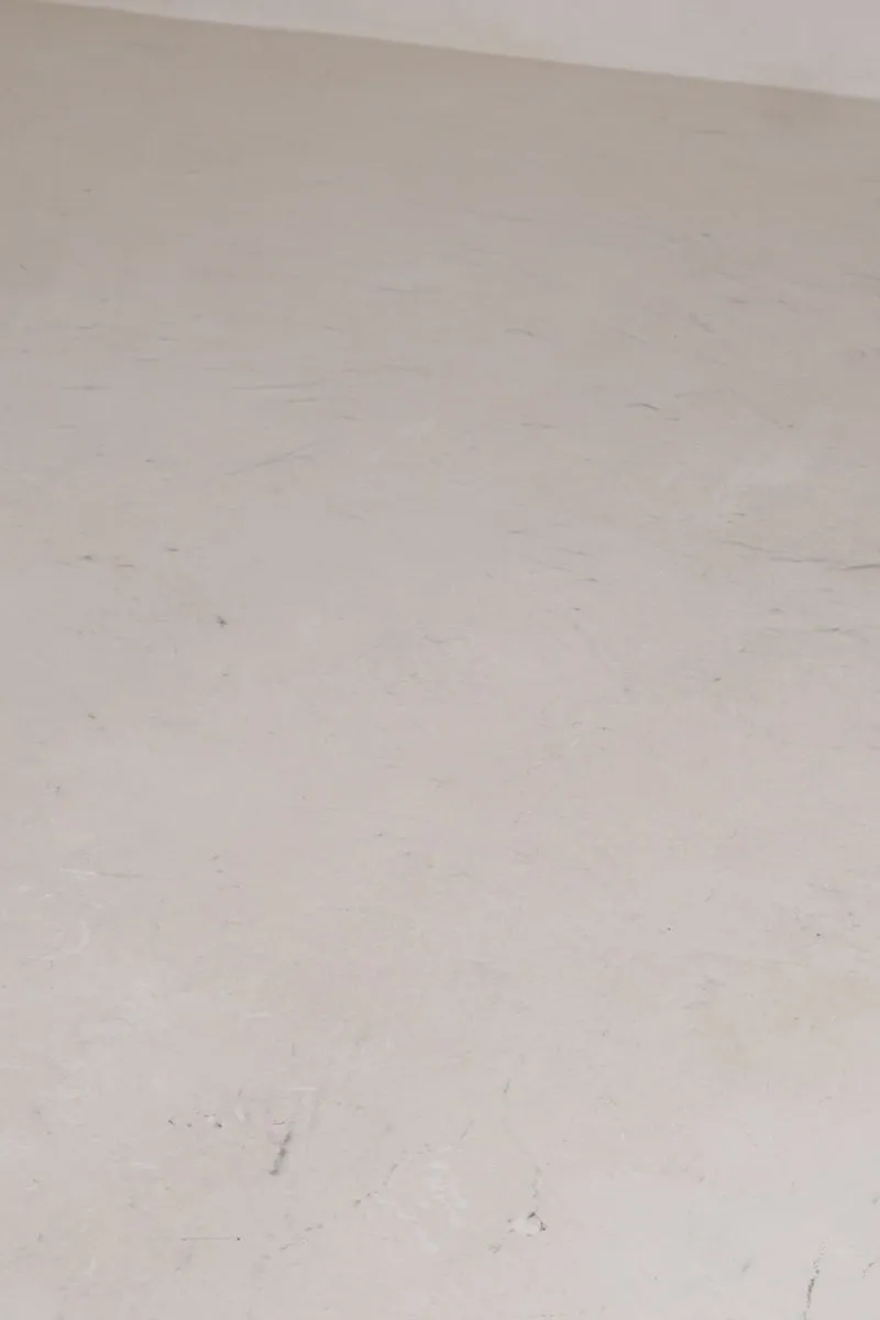 GREY  DARA