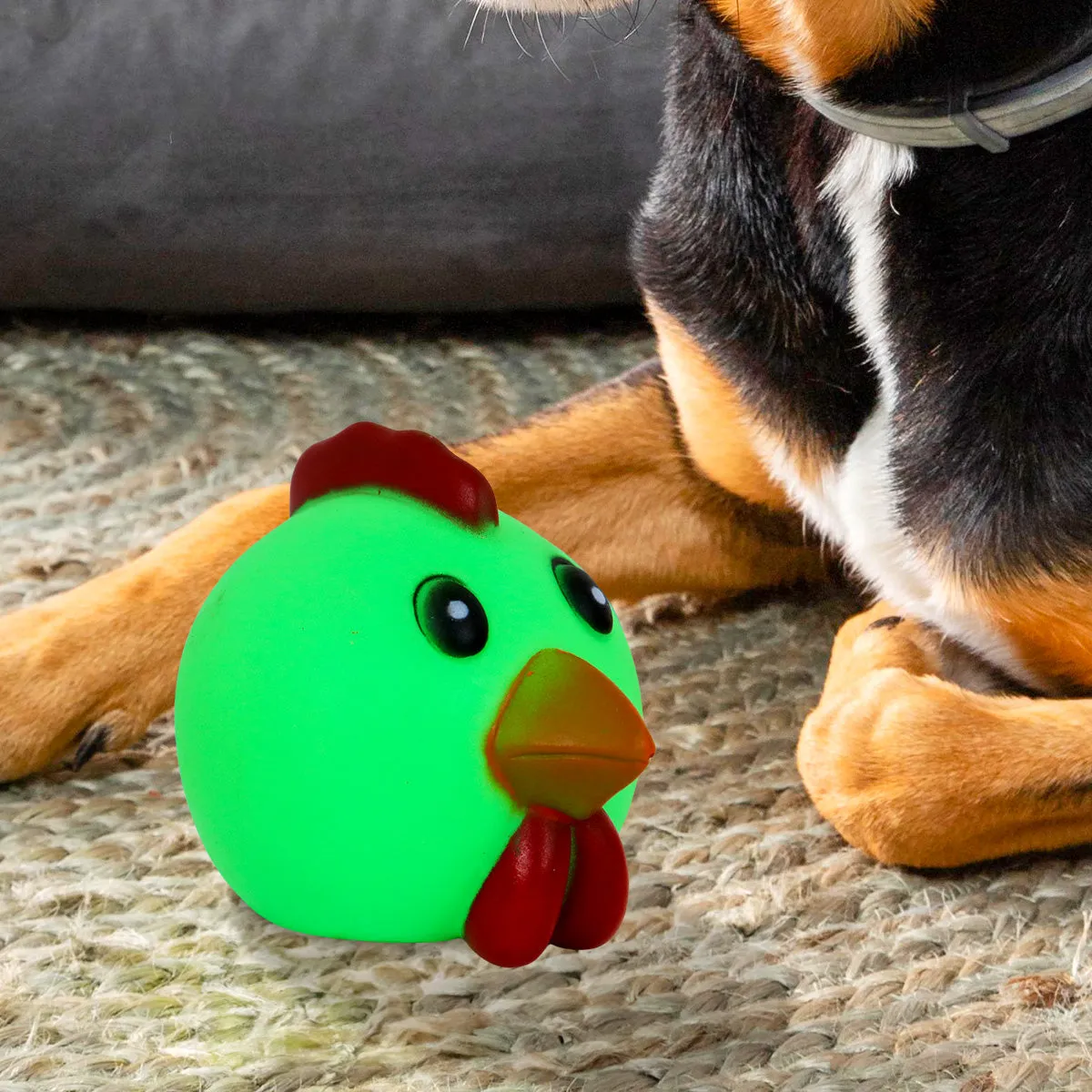 Juguete en Forma de Gallina color Verde para Mascota