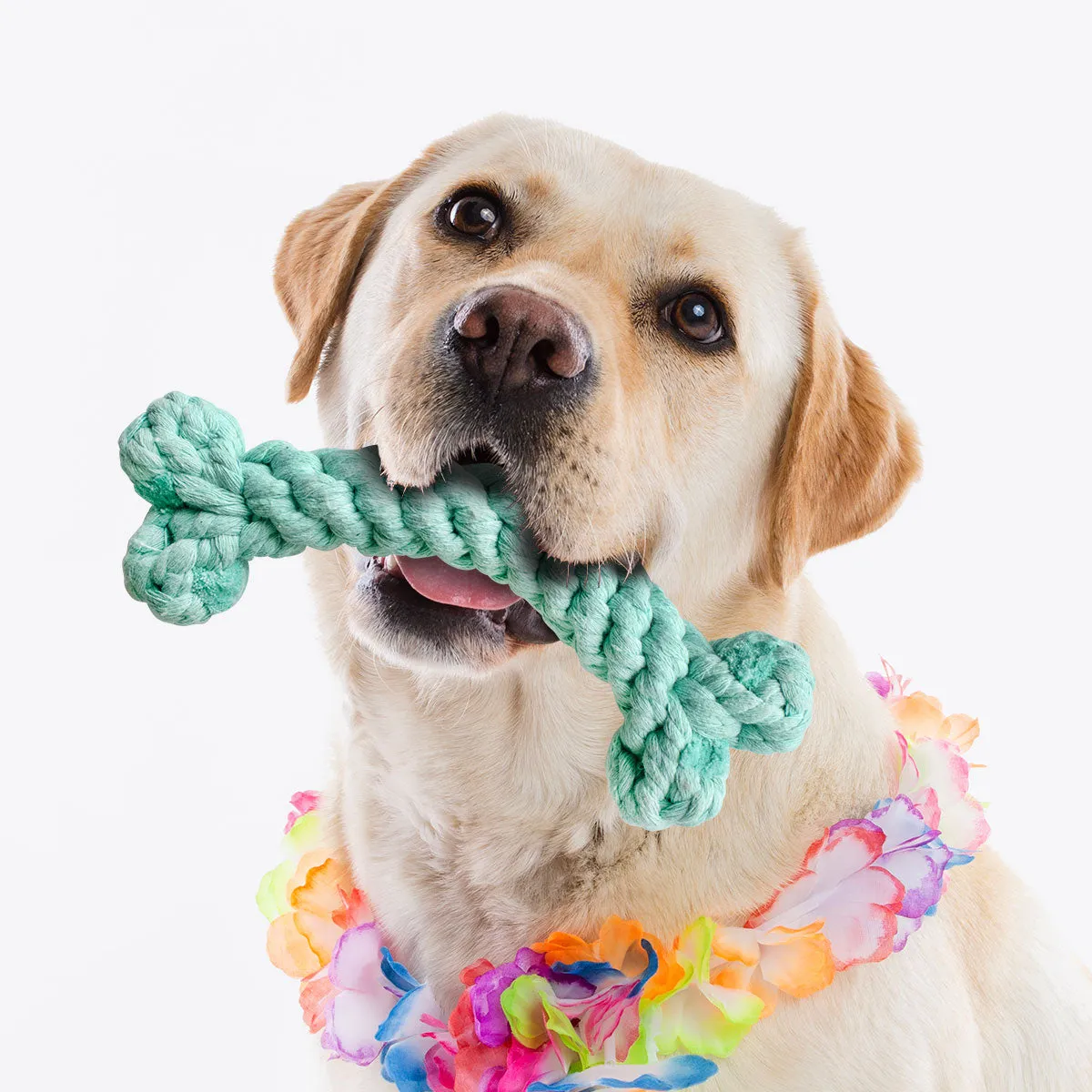 Juguete para Mascota en Forma de Hueso