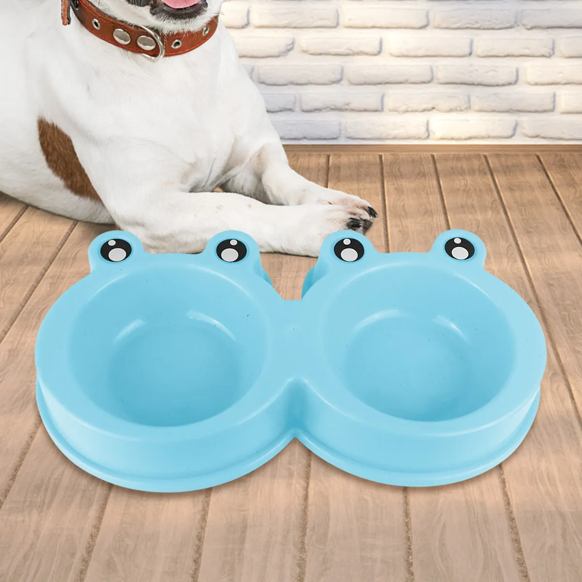 Plato color Azul con Diseo de Rana para Mascota