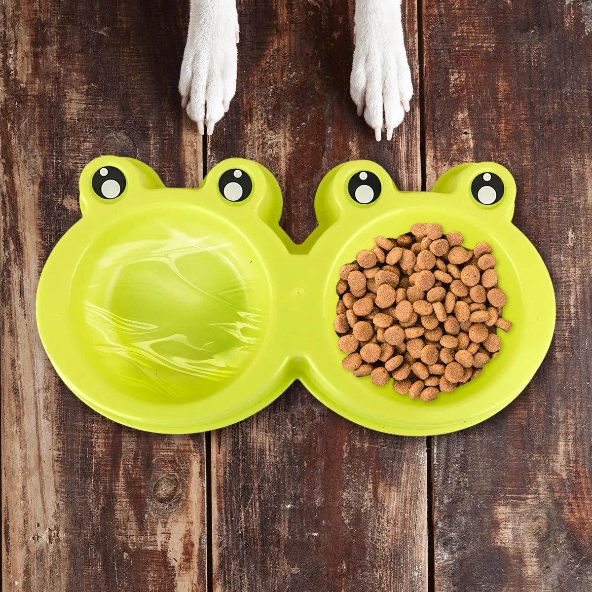 Plato color Verde con Diseo de Rana para Mascota