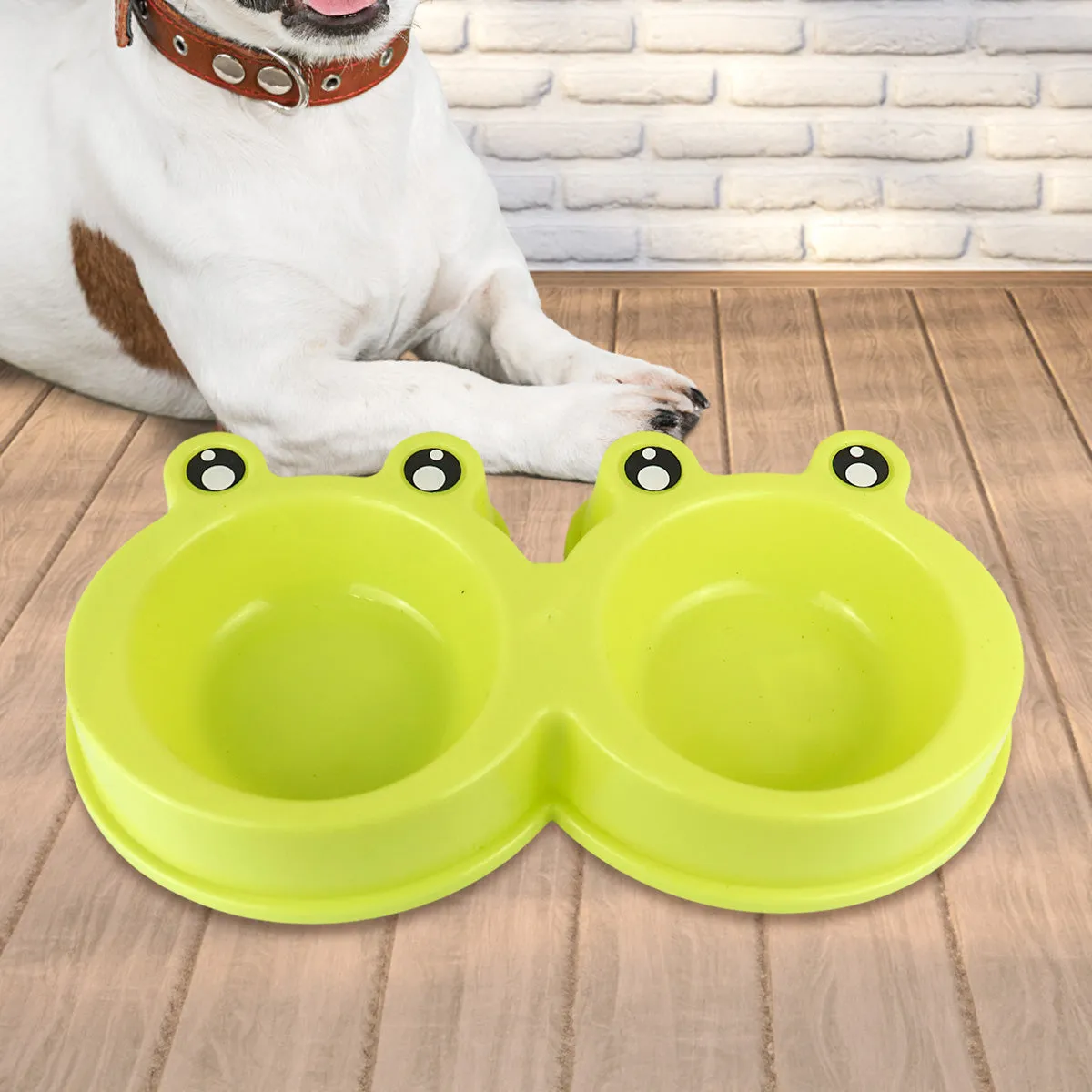 Plato color Verde con Diseo de Rana para Mascota