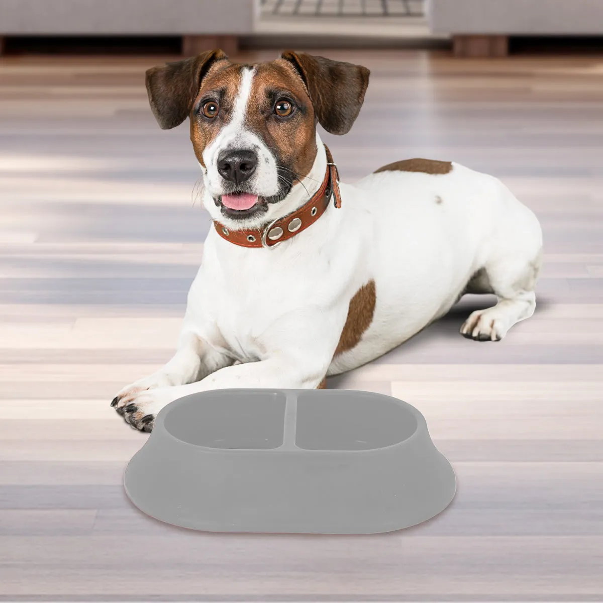 Plato Doble color Gris para Mascota