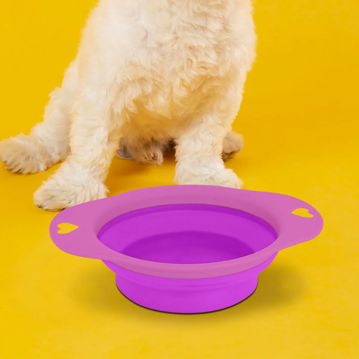 Plato Plegable color Rosa para Mascota