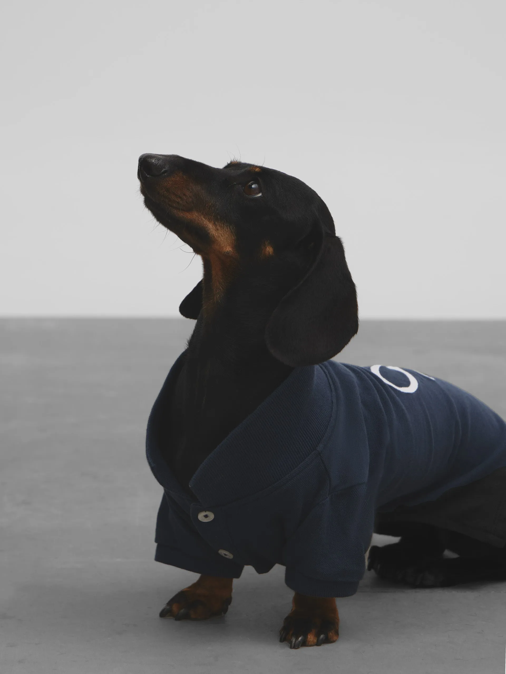 Polo mascota raqueta azul marino