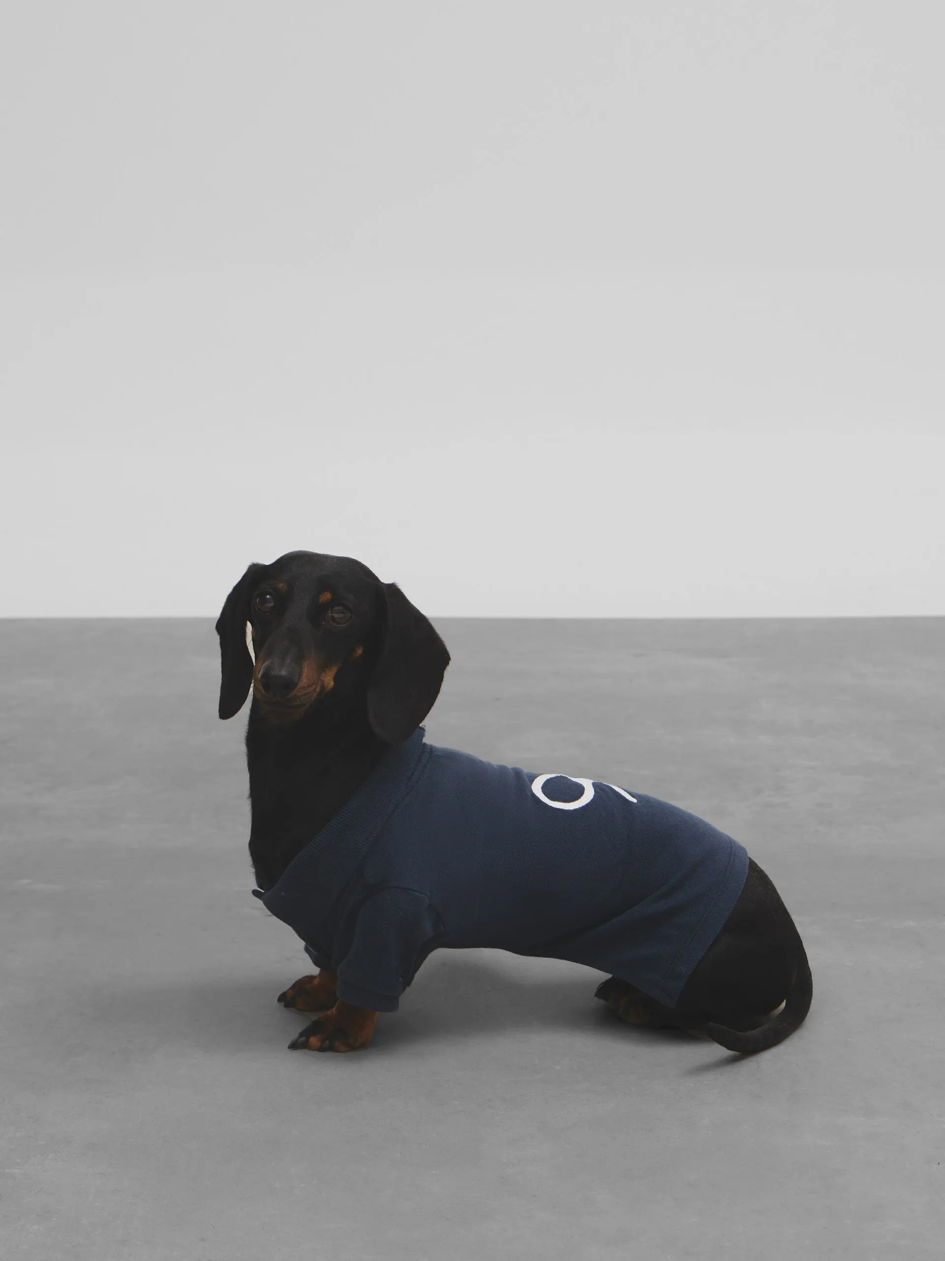 Polo mascota raqueta azul marino