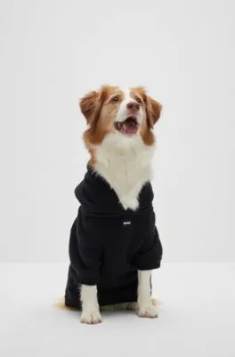 Prenda con capucha para perro y cremallera en algodón con logo en contraste