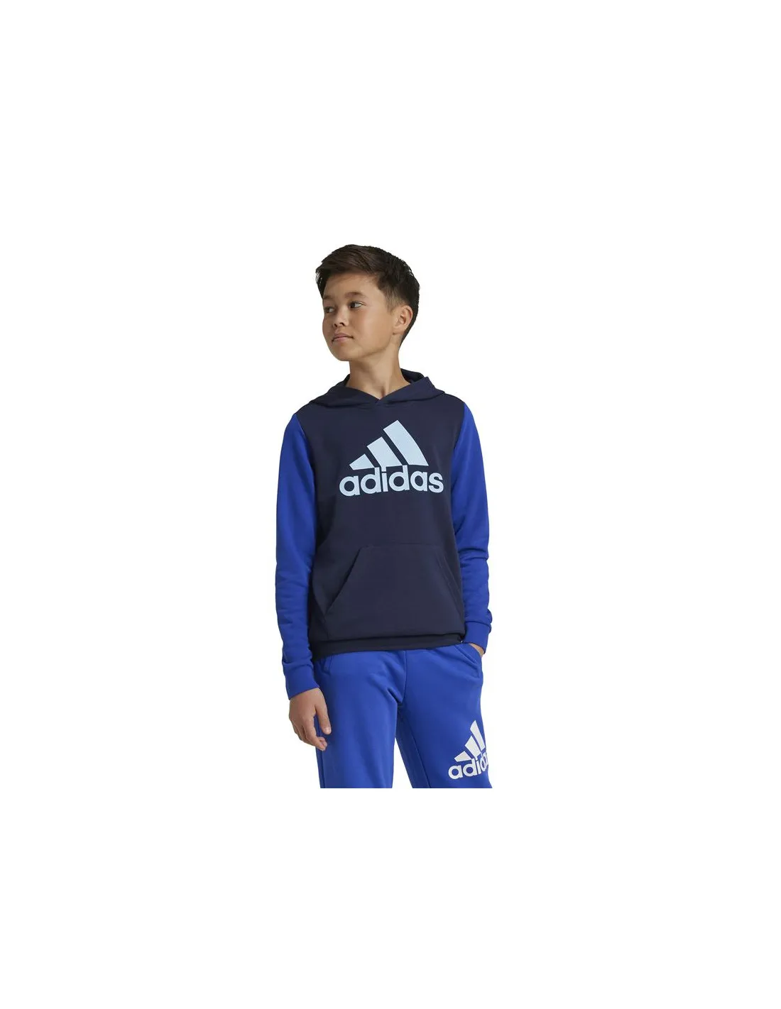 Sudadera adidas Essentials Big Logo Colorblock Infantil Azul