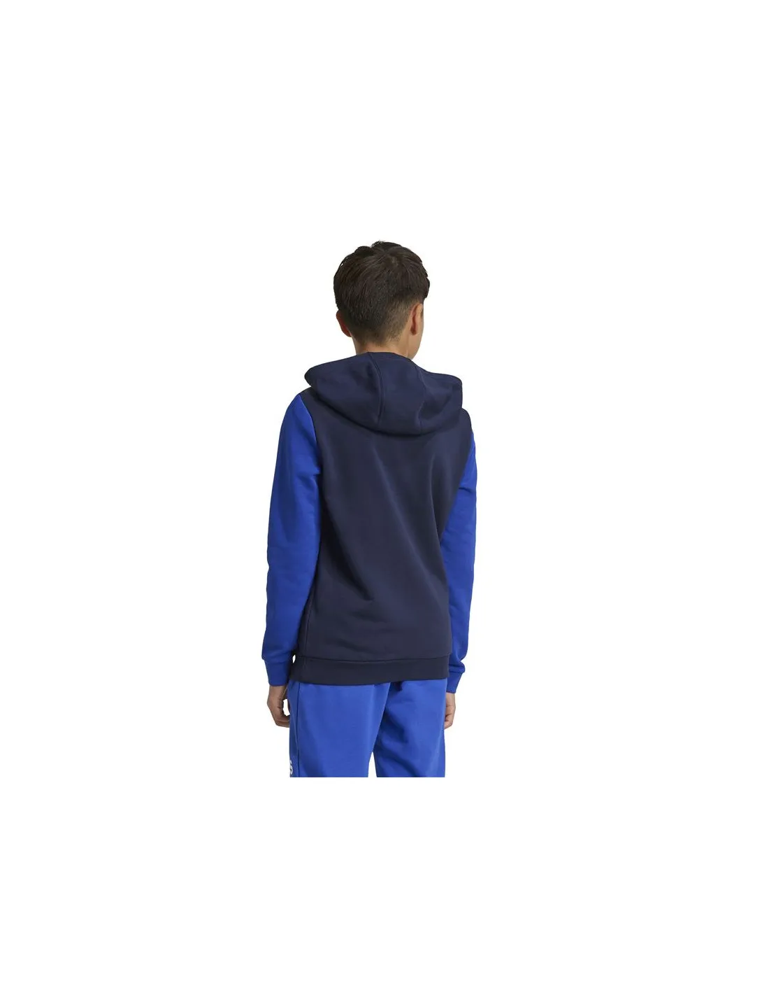 Sudadera adidas Essentials Big Logo Colorblock Infantil Azul