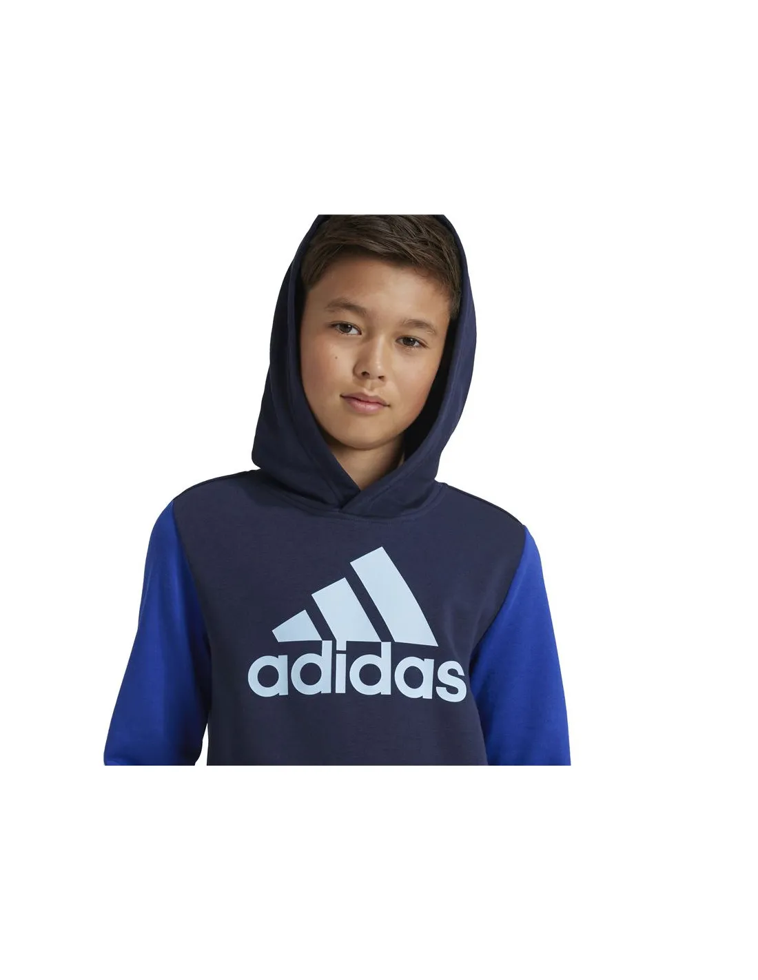 Sudadera adidas Essentials Big Logo Colorblock Infantil Azul