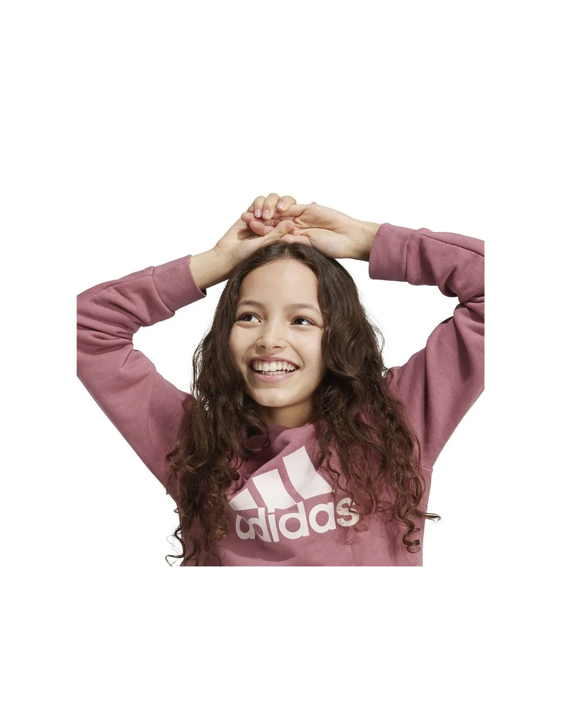 Sudadera adidas Essentials Big Logo Cotton Niña Rosa