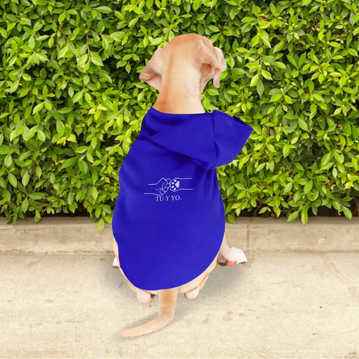 Sudadera color Azul con Frase Tú y Yo para Mascota