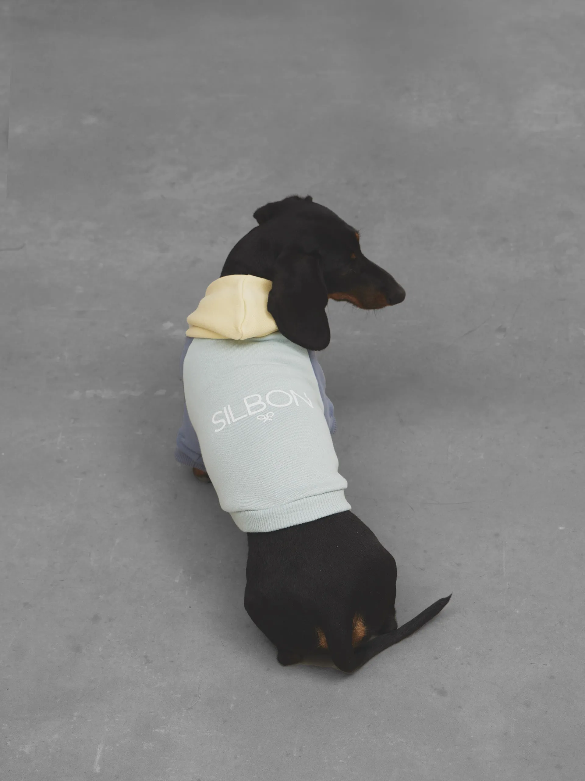 Sudadera mascota verde amarillo