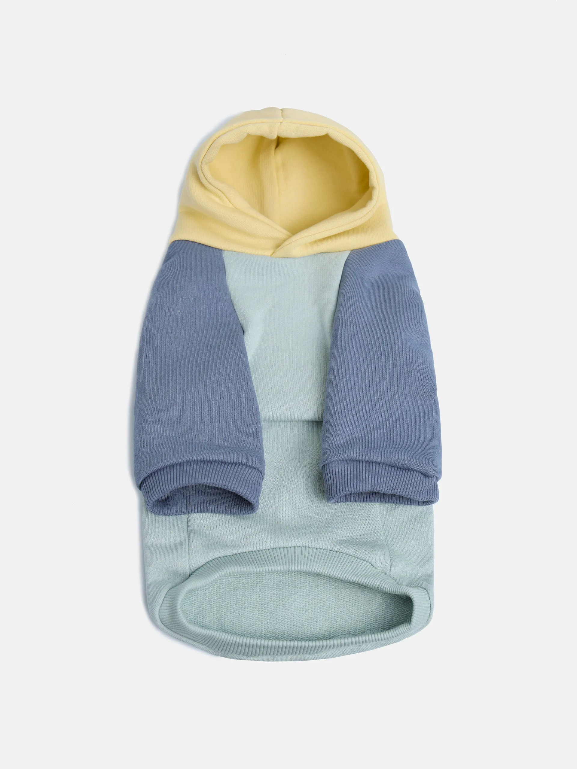 Sudadera mascota verde amarillo
