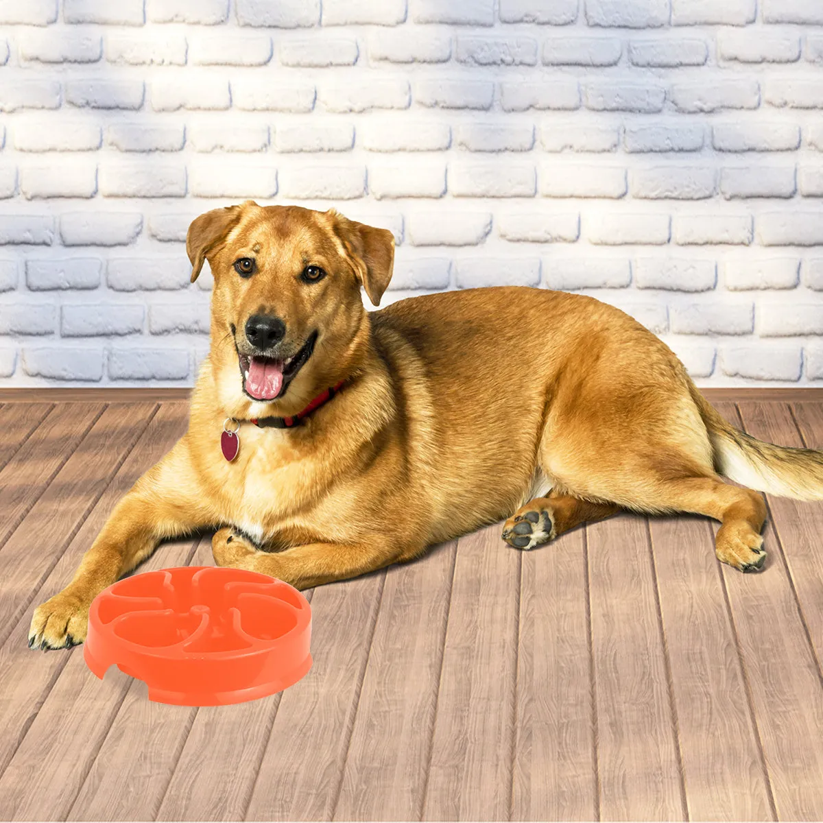 Tazón para Perro de Alimentación Lenta color Coral