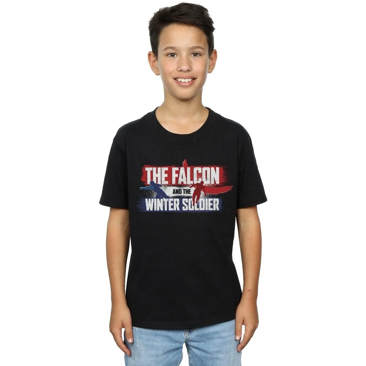 The Falcon And The Winter Soldier Action Logo