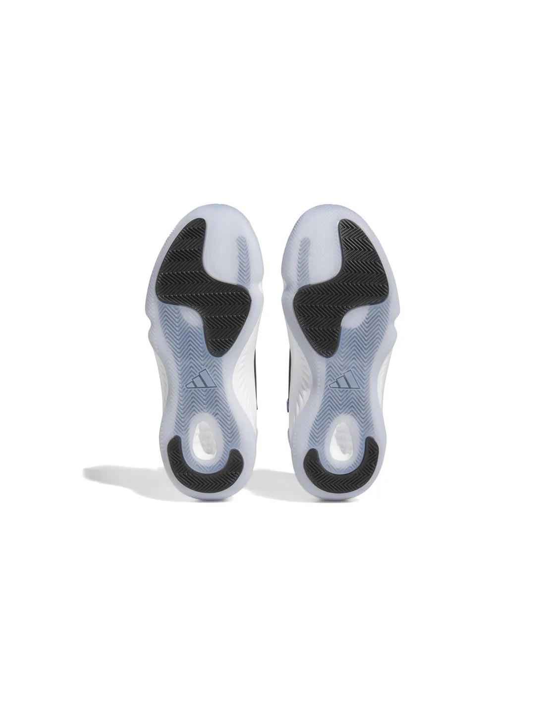 Zapatillas de baloncesto adidas  Adizero Select