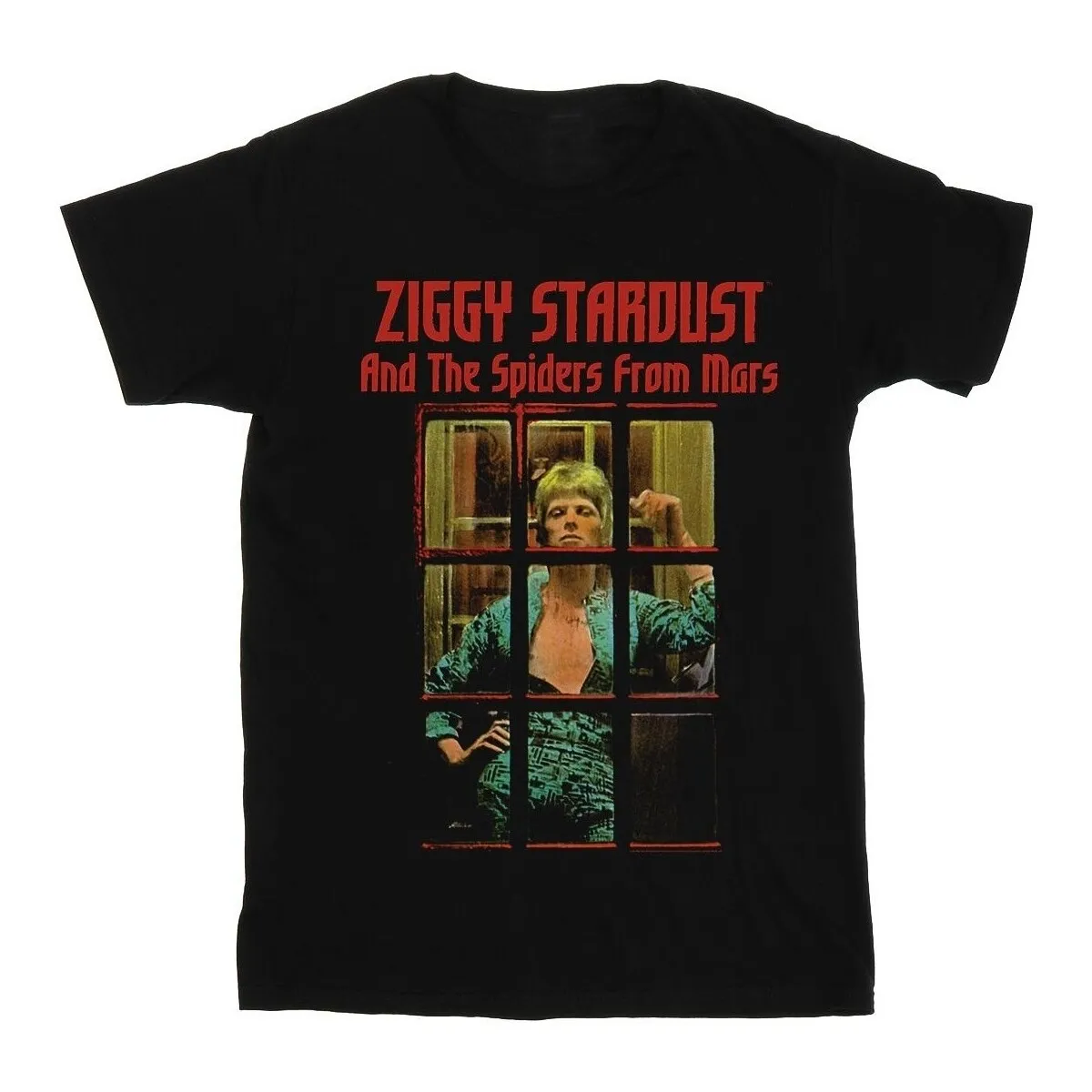 Ziggy Stardust Spider